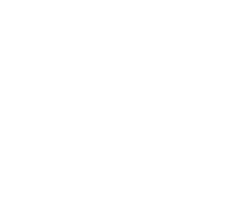 Piccinini